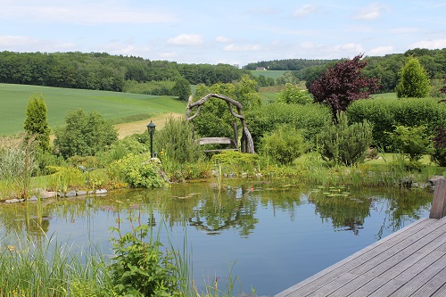 Blick ber den Teich