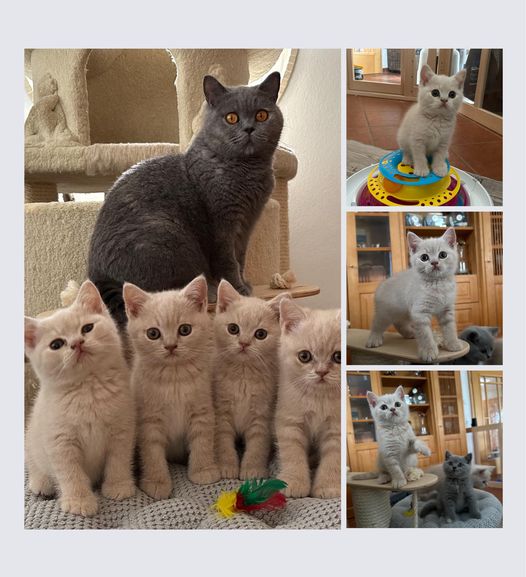 Katalena_Babys_2023