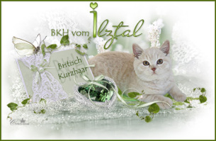 bkh vom ilztal