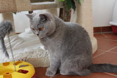Minu06